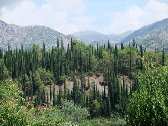 kotor02