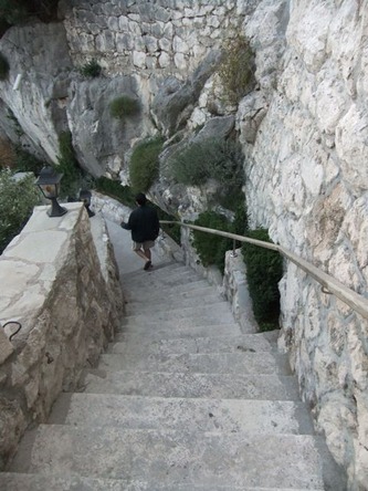 omis05