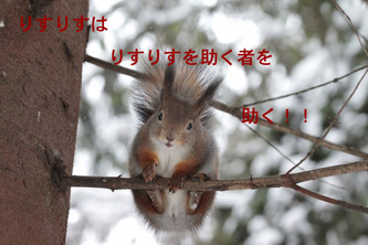 BlogPaint