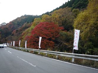 koyo2