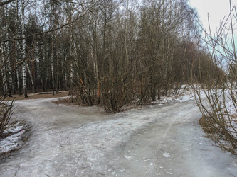 20150329-IMG_0415