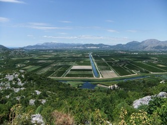 ston05