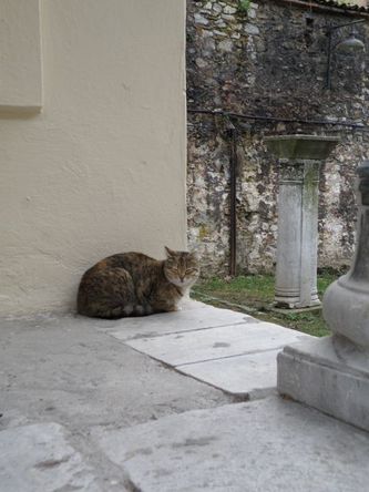 nyanko13