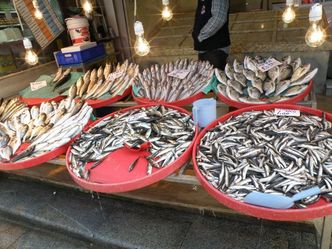 bazar08