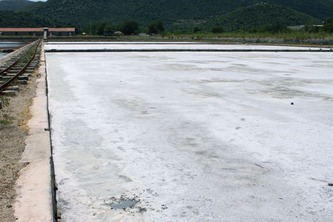 ston23