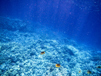 DSCN0591