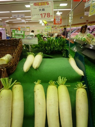 daikon1