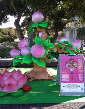 Screenshot_20240207-204550_Facebook