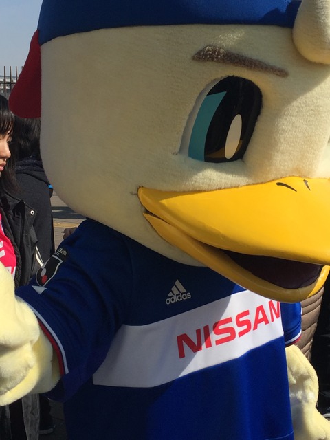サッカー Subhuman