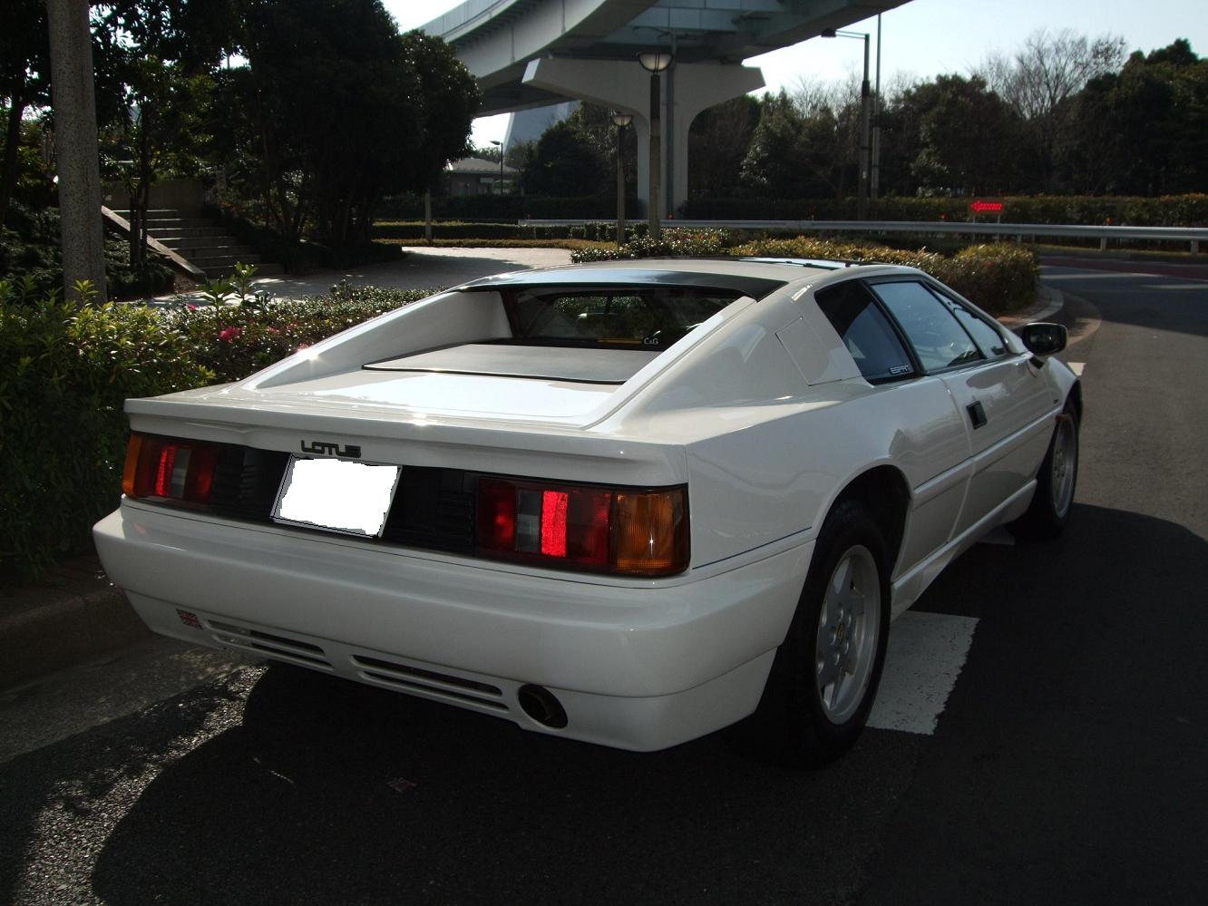 For Sale ロータスエスプリｎ ａ エスプリな日常生活