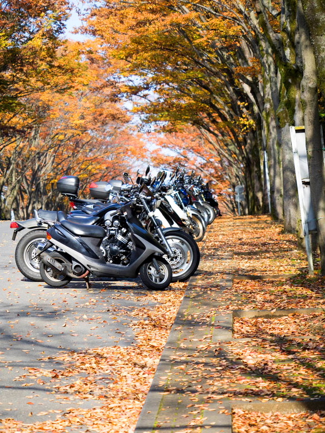 �쳤��ء�����ˡʽ��ʿ���