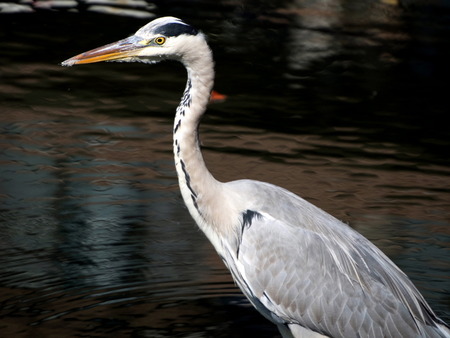 ����������2