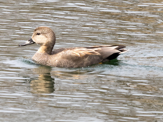 �����֎����ގ�2