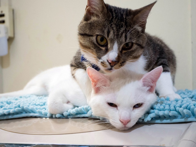 ����������2