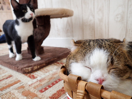 ǭ���ե��줪��5