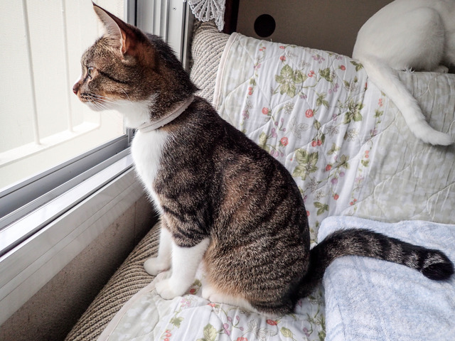 ���ͤ���1