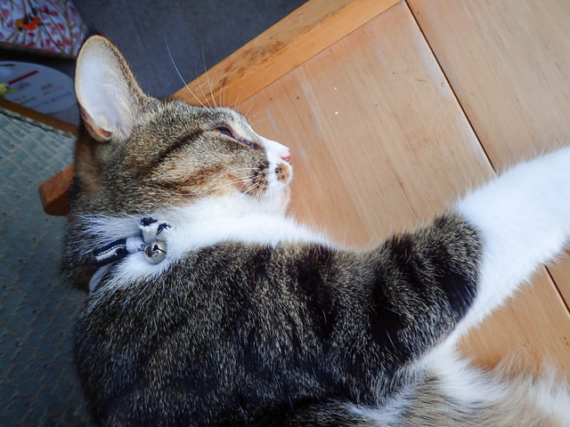 ���ͤ���2