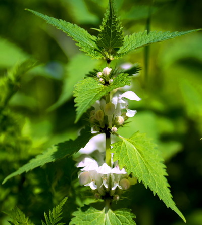 ���Ďގ؎�����2