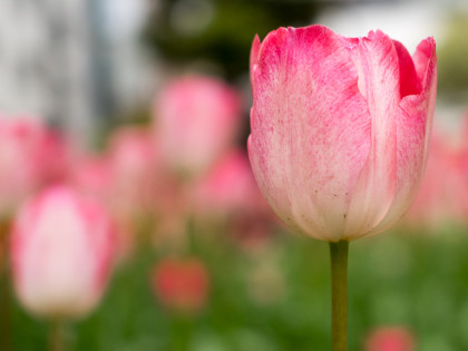 ���͸���16