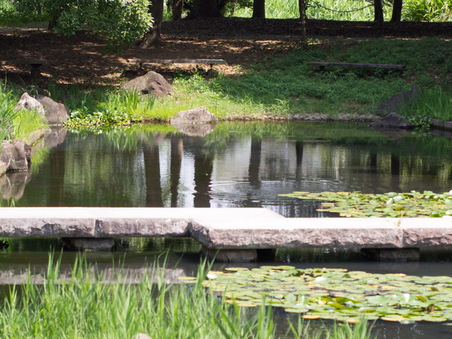 金目親水公園08