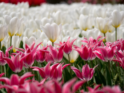 ���͸���8