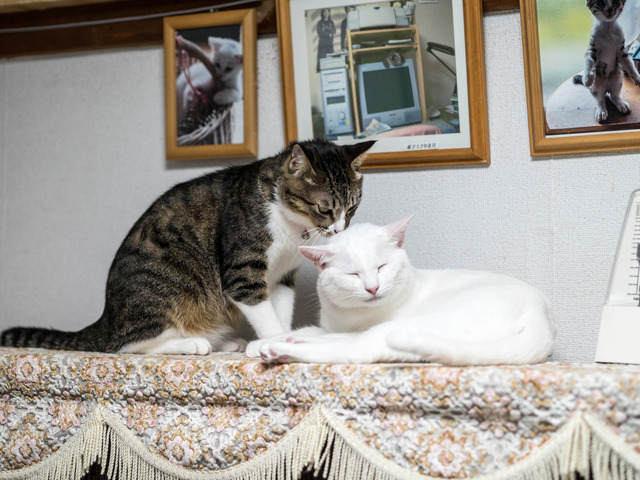 ����������5