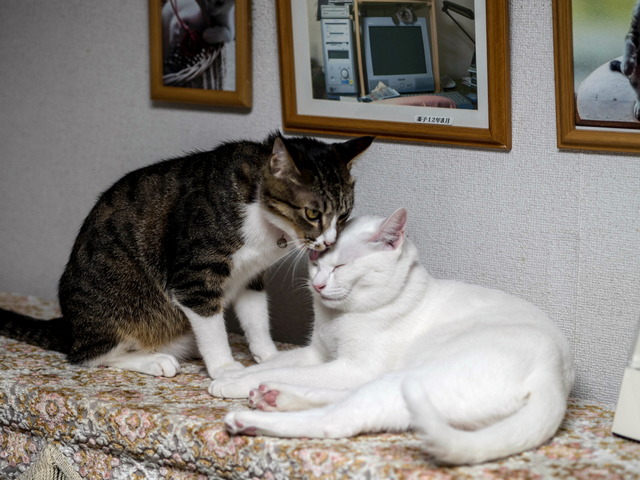 ����������7