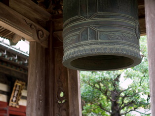 ��ɴ�����10