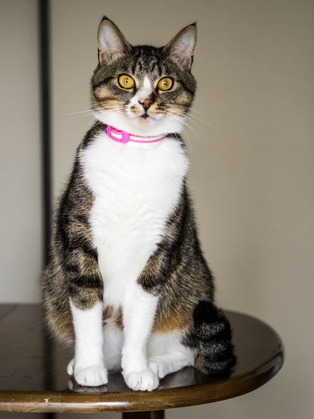 ���ͤ�����1