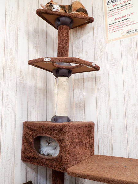 ǭ���ե��줪��23