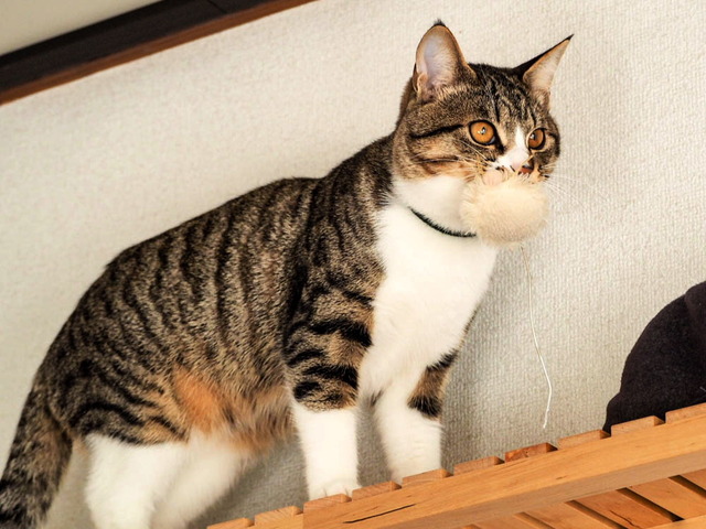 ���ͤ���07