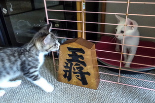 ���ͤ�����01