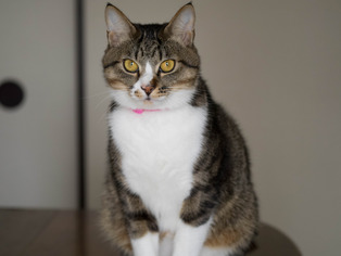 ���ͤ�����2