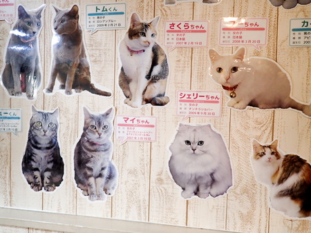 ǭ���ե��줪��29