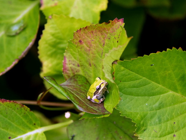 ���ώ��ގ���12