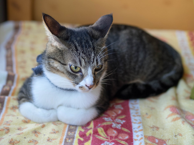 ���ͤ���3