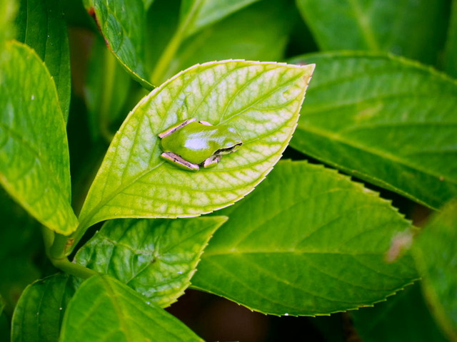 ���ώ��ގ���07