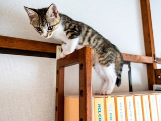 ���ͤ���37