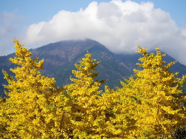 ��ˡ������1