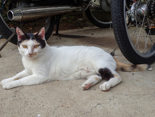 �ߡ������2