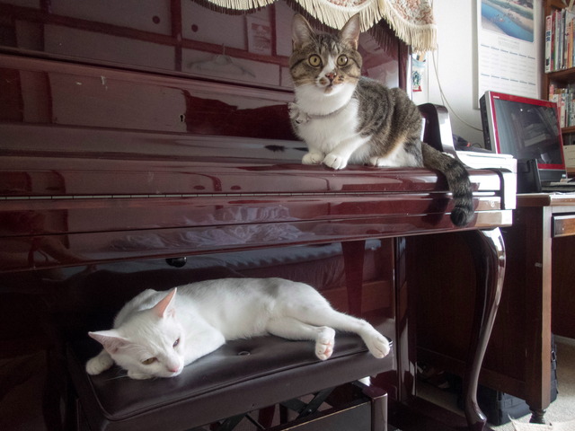 ����������4