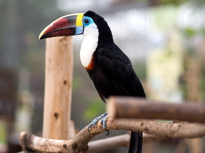 �ˎюȎ����ʎ�1