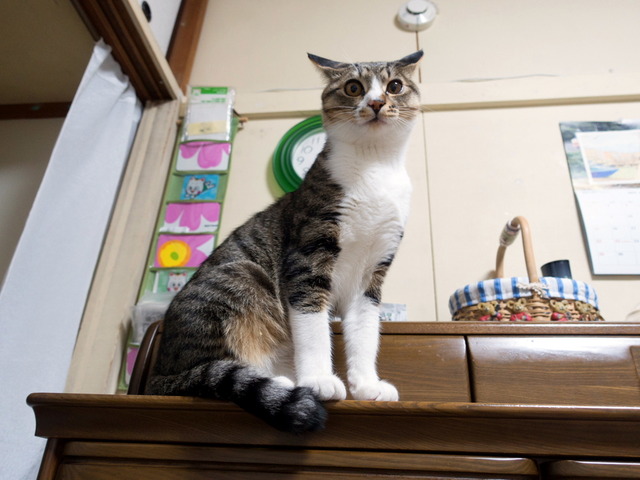 ���ͤ���3