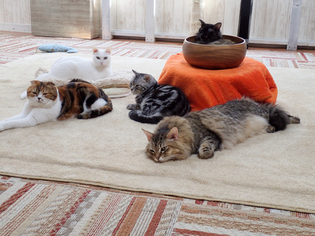 ǭ���ե��줪��22