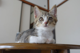 ���ͤ���19