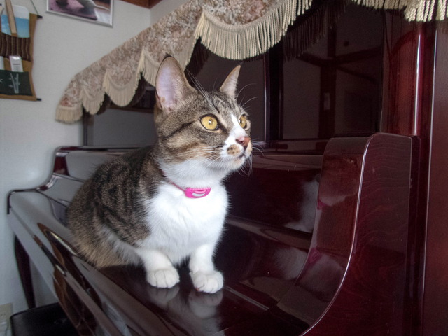 ���ͤ���6