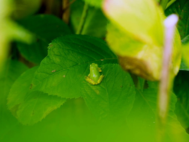 ���ώ��ގ���10