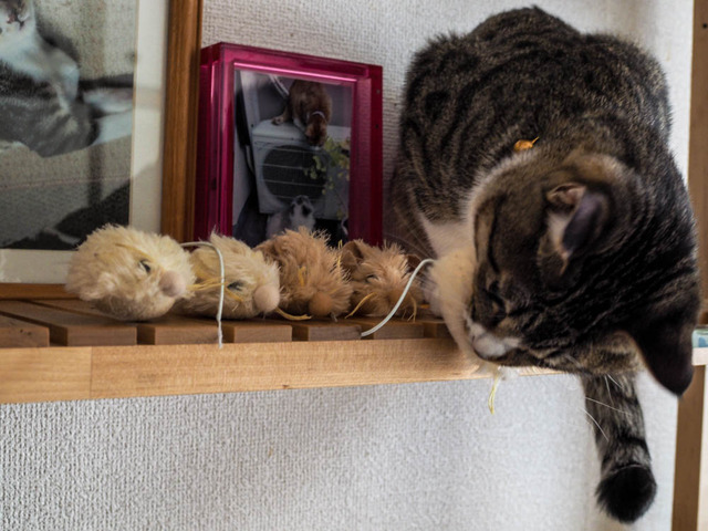 ���ͤ���01