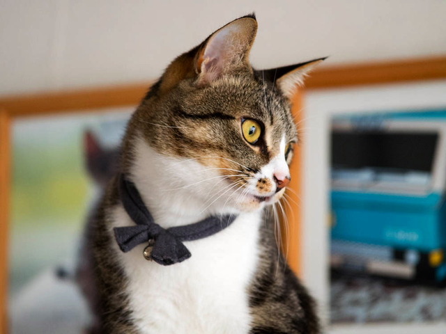 ���ͤ���2