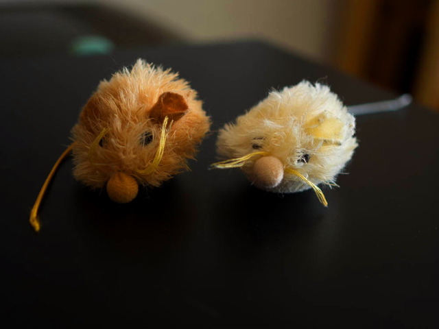 ���ͤ���06